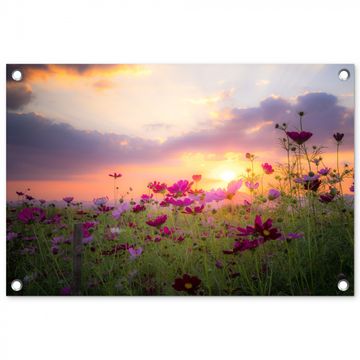 Tuinposter - Kosmosbloemen bij zonsondergang