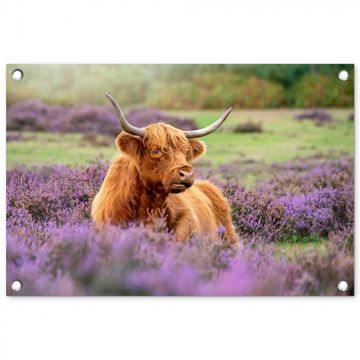 Tuinposter - Hooglander in de Heide