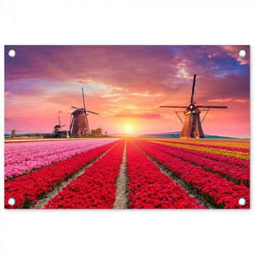 Tuinposter - Tulpenvelden met windmolens bij zonsondergang