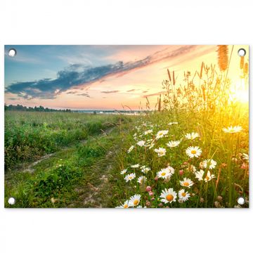 Tuinposter - Wilde bloemen in de ochtendzon