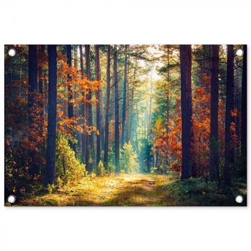 Tuinposter - Herfstbos in de Ochtendmist