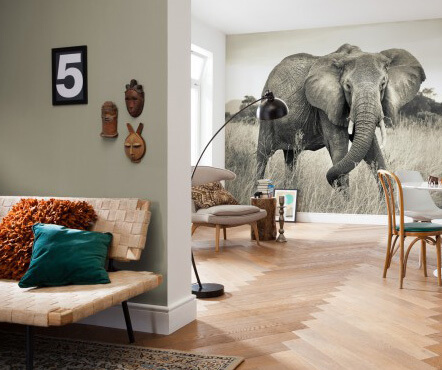 Fotobehang met olifant